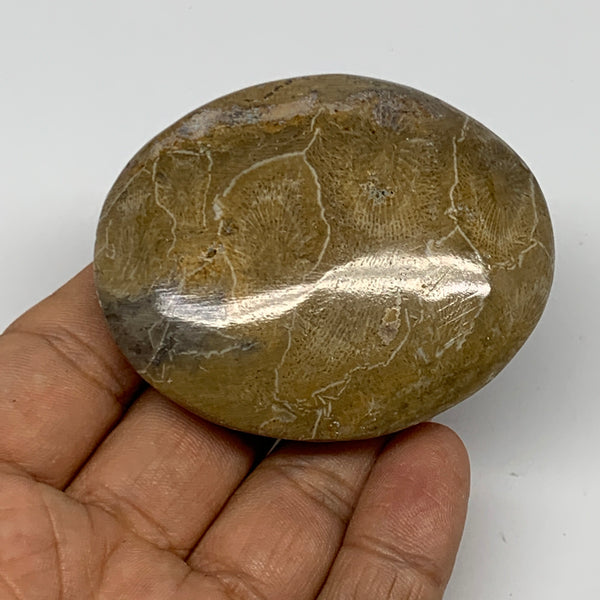 86.6g,2.5"x2.1"x 0.8", Coral Fossils Palm-Stone Polished from Morocco, B20331