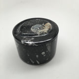 514g Round Shape Orthoceras Fossil Ammonite Medium Jewelry Box @Morocco, FJ02 - watangem.com