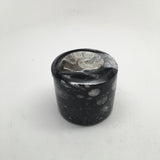 222g Round Shape Orthoceras Fossil Ammonite Small Jewelry Box @Morocco, FJ24 - watangem.com