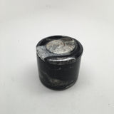 222g Round Shape Orthoceras Fossil Ammonite Small Jewelry Box @Morocco, FJ24 - watangem.com