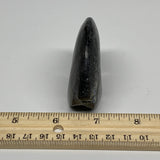 70.6g, 2.5"x2"x0.9", Large Goniatite Ammonite Polished Mineral @Morocco, B23647