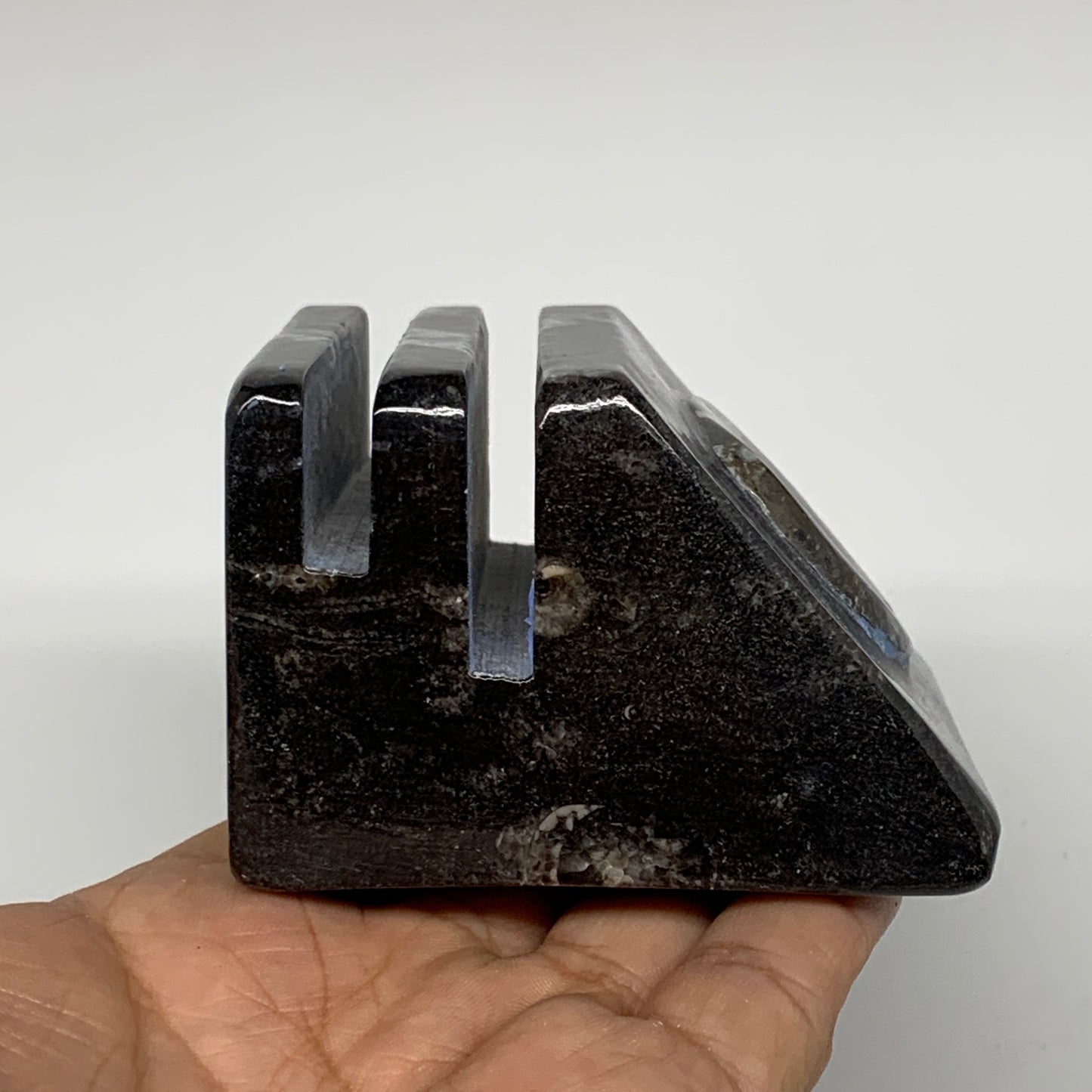 500g, 2.9" x 3" x 2" Black Fossils Orthoceras Ammonite Business Card Holder,B821