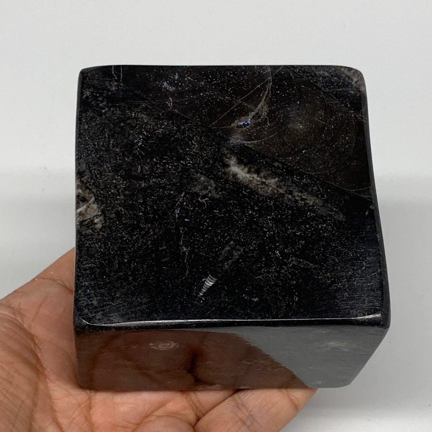 500g, 2.9" x 3" x 2" Black Fossils Orthoceras Ammonite Business Card Holder,B821