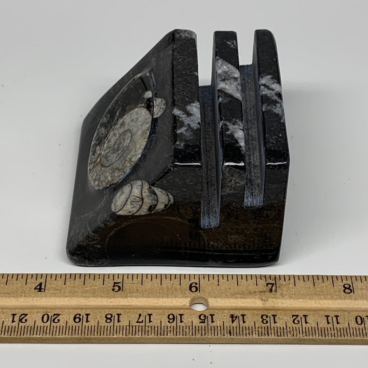 500g, 2.9" x 3" x 2" Black Fossils Orthoceras Ammonite Business Card Holder,B821