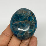127g, 2.4"x1.9"x1" Blue Apatite Palm-Stone Polished from Madagascar, B16518