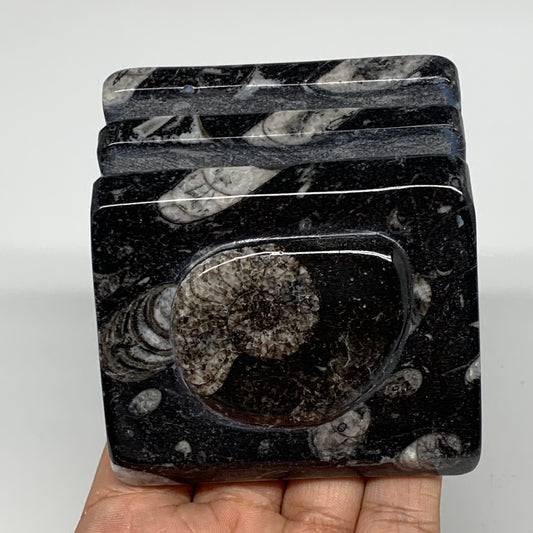 516g, 2.8" x 2.9" x 2" Black Fossils Orthoceras Ammonite Business Card Holder,B8
