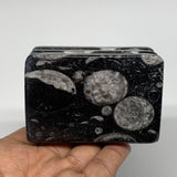 516g, 2.8" x 2.9" x 2" Black Fossils Orthoceras Ammonite Business Card Holder,B8