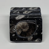 516g, 2.8" x 2.9" x 2" Black Fossils Orthoceras Ammonite Business Card Holder,B8