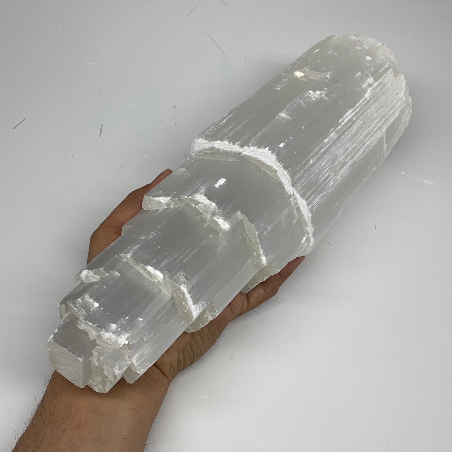 6.72 lb,12"x3.6" White Selenite (Satin Spar) Rough Lamp W/Chord @Morocco,B12375