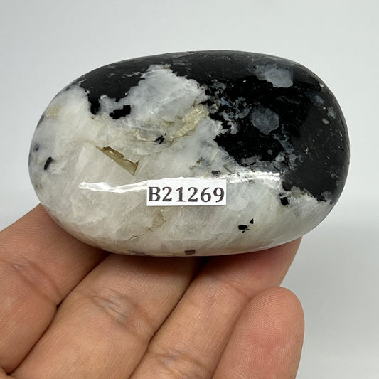 108.1g,2.4"x1.7"x1", Rainbow Moonstone Palm-Stone Polished from India, B21269