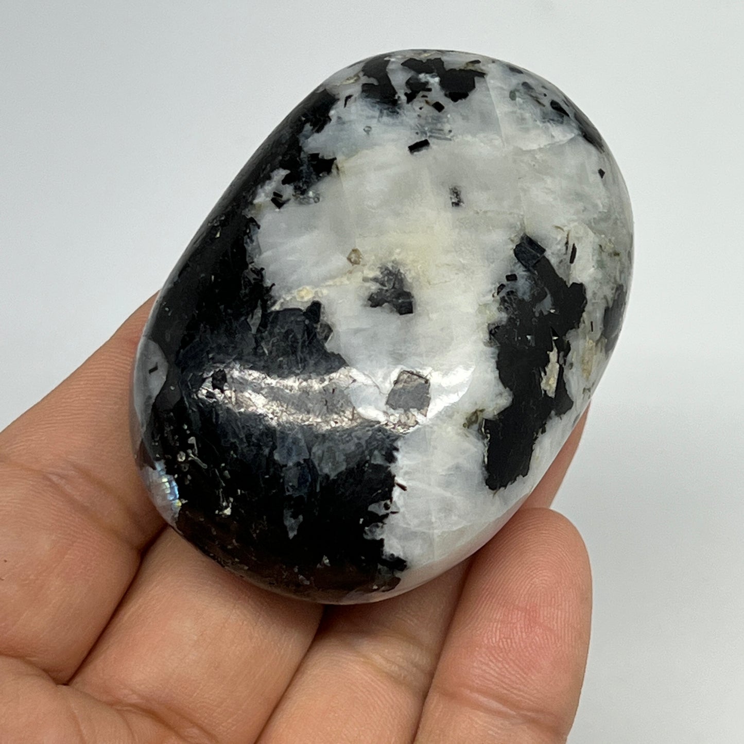108.1g,2.4"x1.7"x1", Rainbow Moonstone Palm-Stone Polished from India, B21269