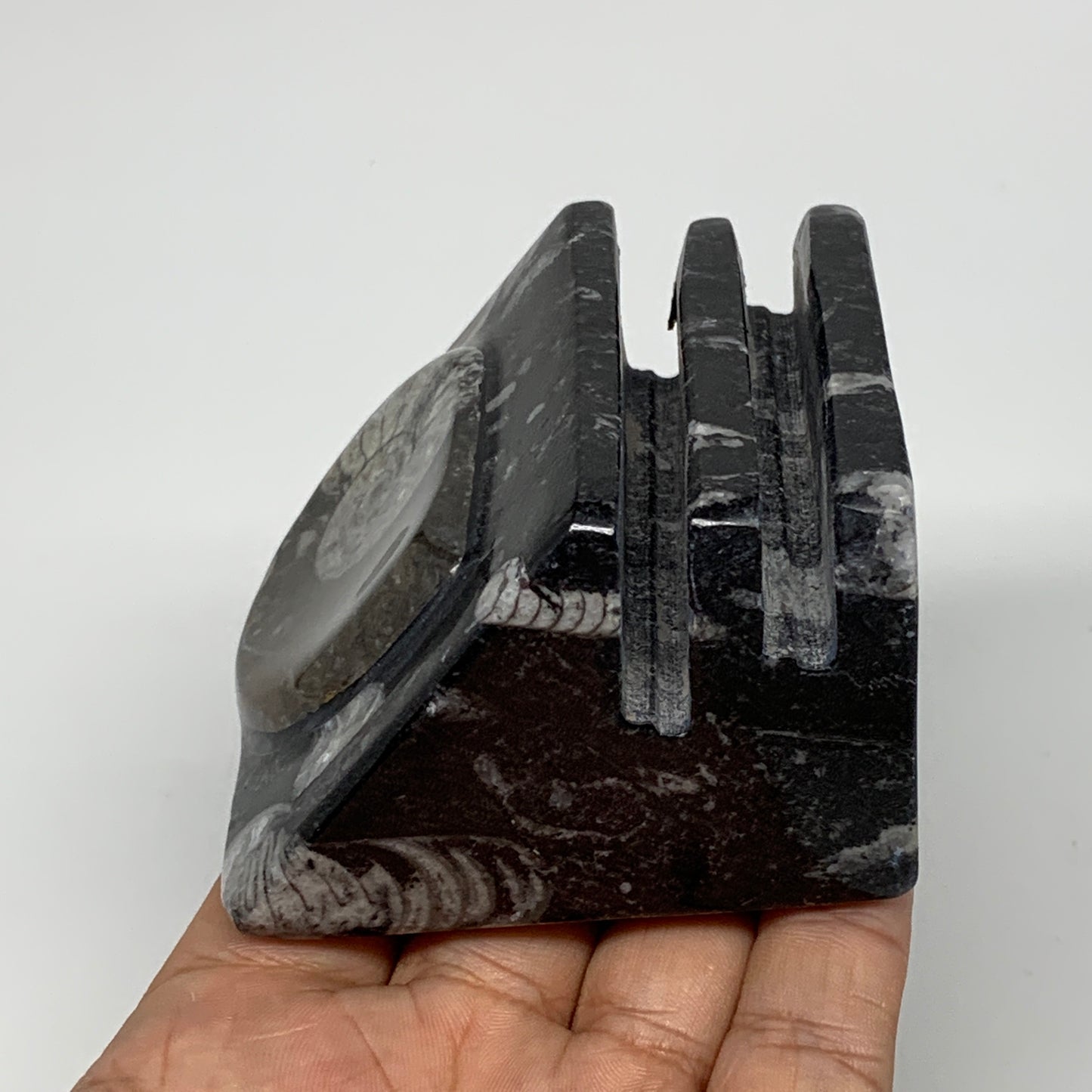 388g, 2.7" x 2.8" x 1.9" Black Fossils Orthoceras Ammonite Business Card Holder,