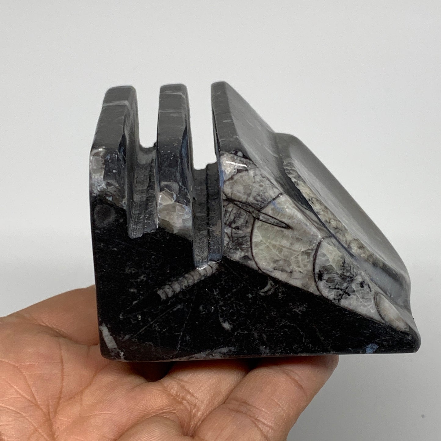 388g, 2.7" x 2.8" x 1.9" Black Fossils Orthoceras Ammonite Business Card Holder,