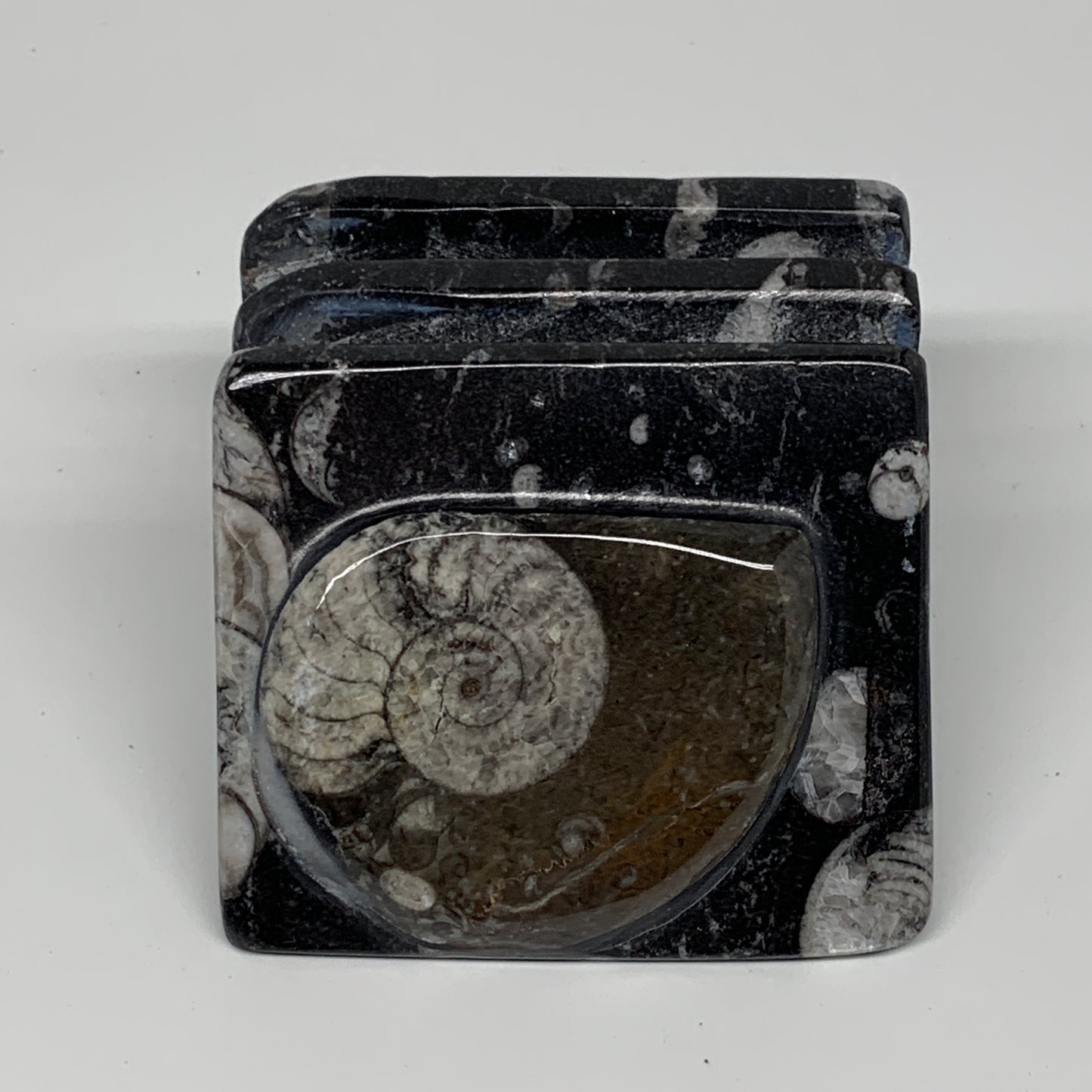 388g, 2.7" x 2.8" x 1.9" Black Fossils Orthoceras Ammonite Business Card Holder,