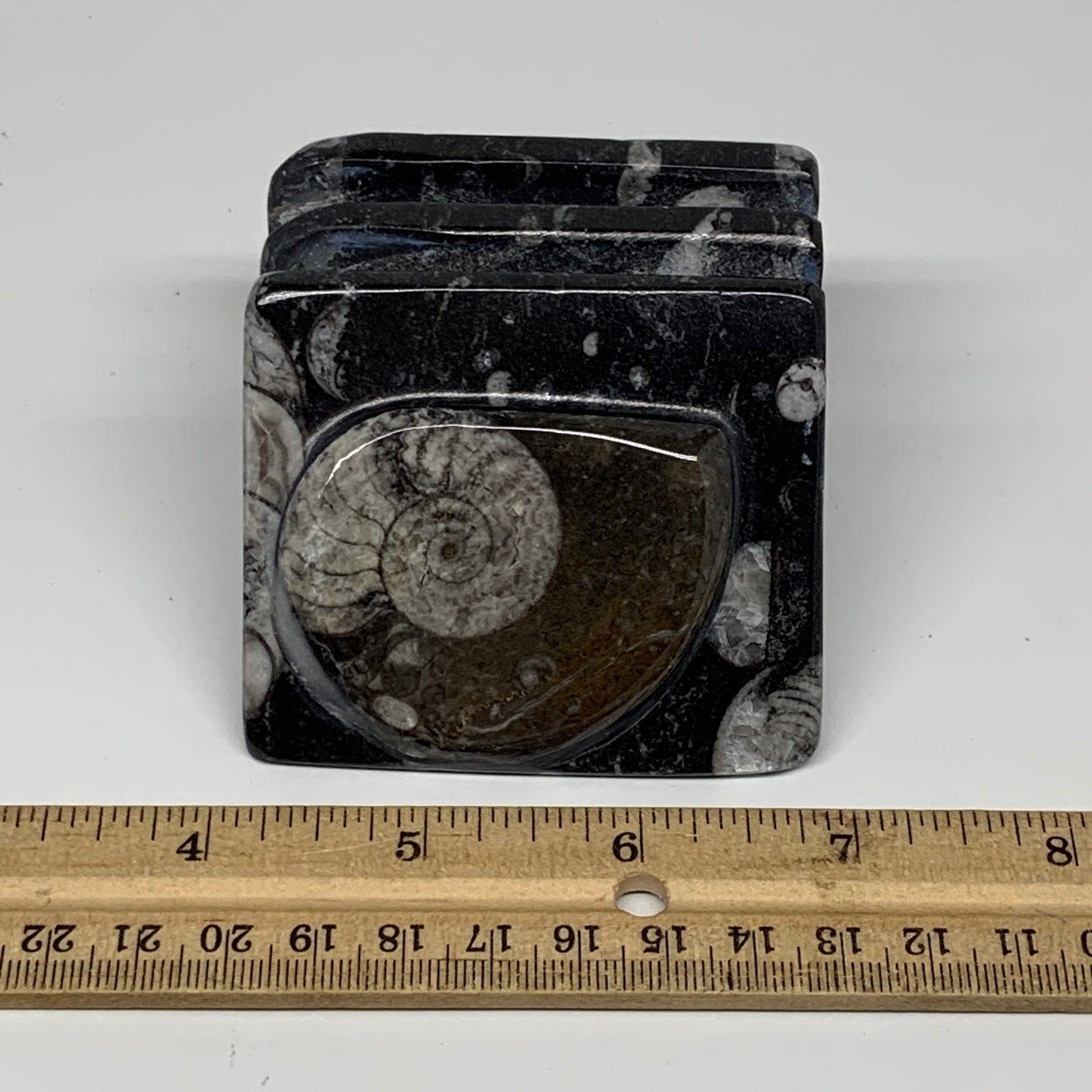 388g, 2.7" x 2.8" x 1.9" Black Fossils Orthoceras Ammonite Business Card Holder,