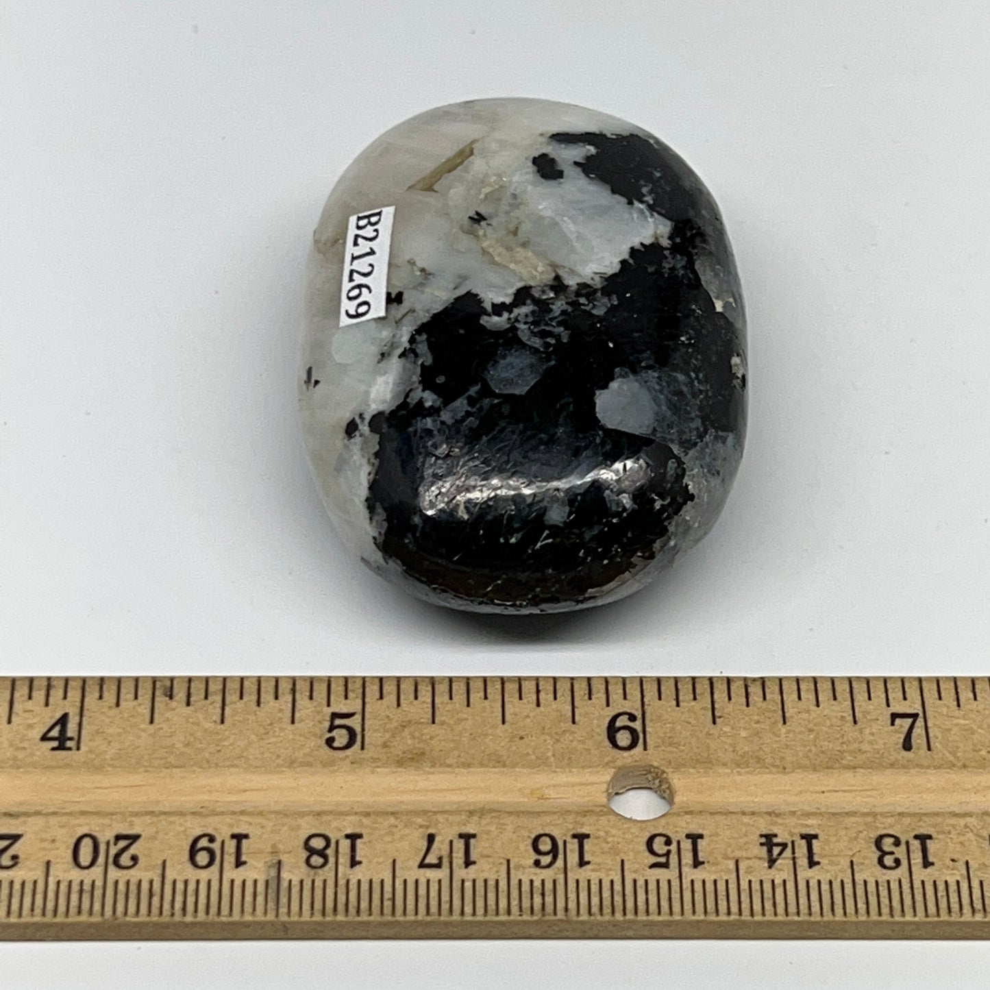 108.1g,2.4"x1.7"x1", Rainbow Moonstone Palm-Stone Polished from India, B21269