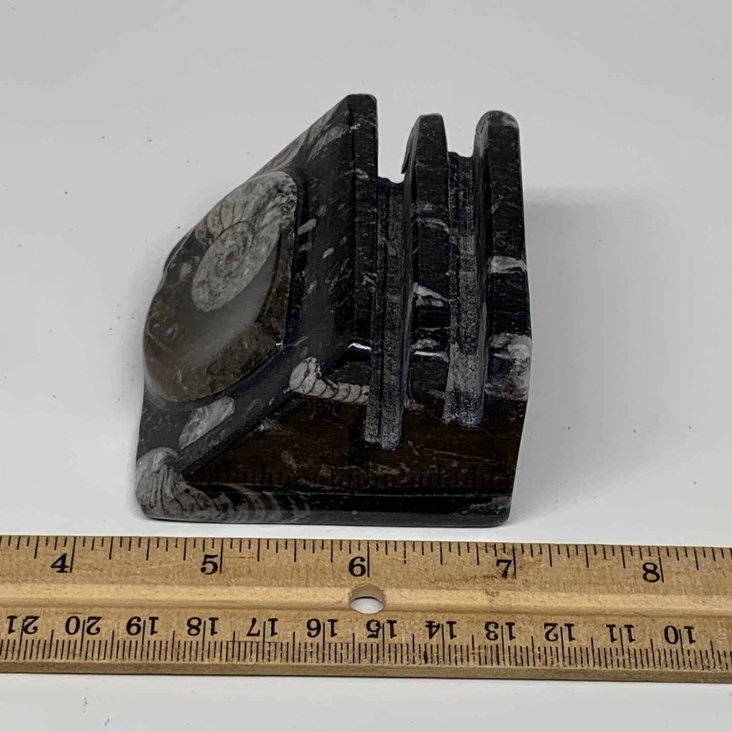 388g, 2.7" x 2.8" x 1.9" Black Fossils Orthoceras Ammonite Business Card Holder,