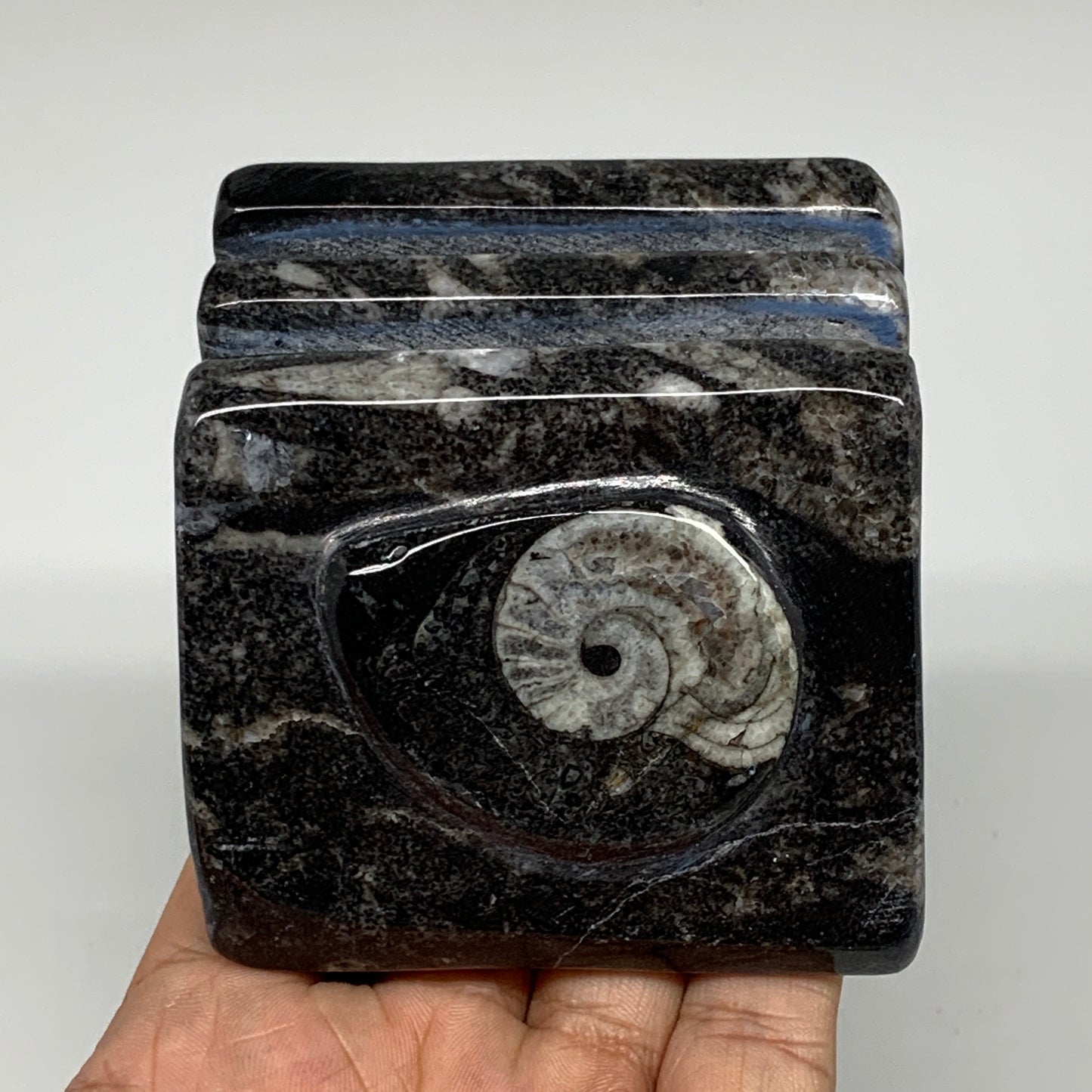 476g, 2.7" x 2.8" x 1.9" Black Fossils Orthoceras Ammonite Business Card Holder,