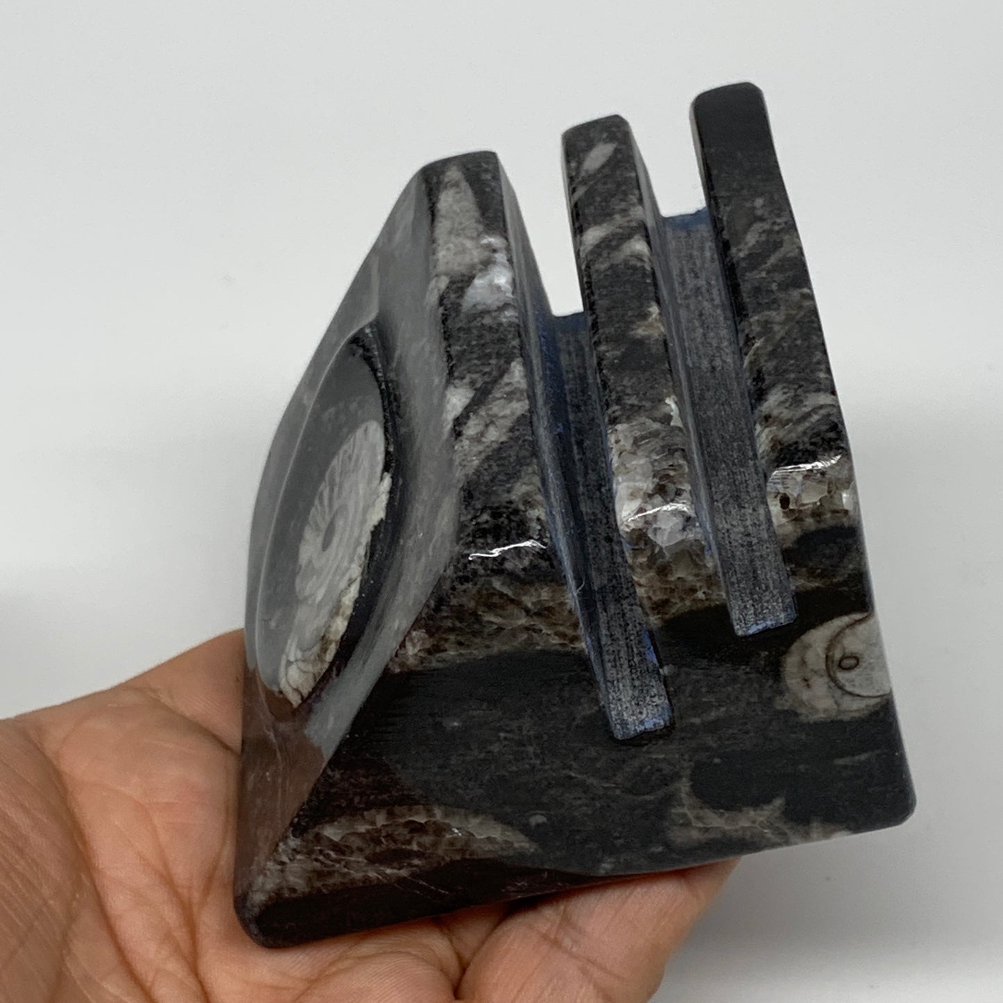 476g, 2.7" x 2.8" x 1.9" Black Fossils Orthoceras Ammonite Business Card Holder,