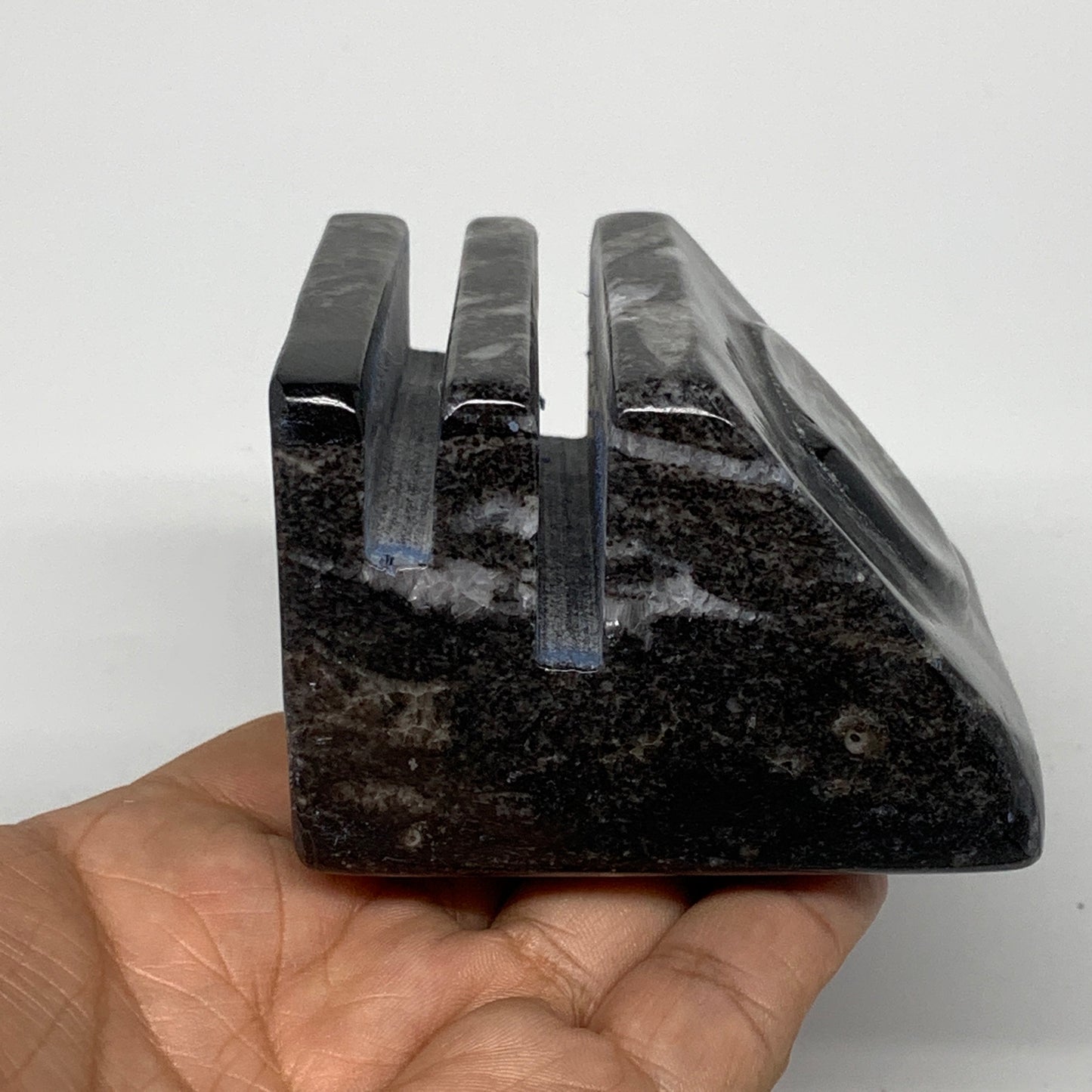 476g, 2.7" x 2.8" x 1.9" Black Fossils Orthoceras Ammonite Business Card Holder,