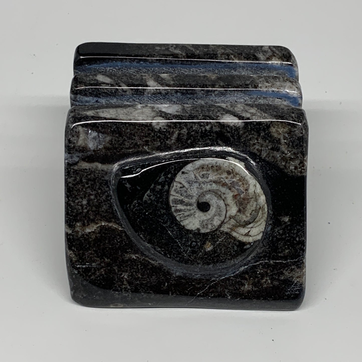 476g, 2.7" x 2.8" x 1.9" Black Fossils Orthoceras Ammonite Business Card Holder,
