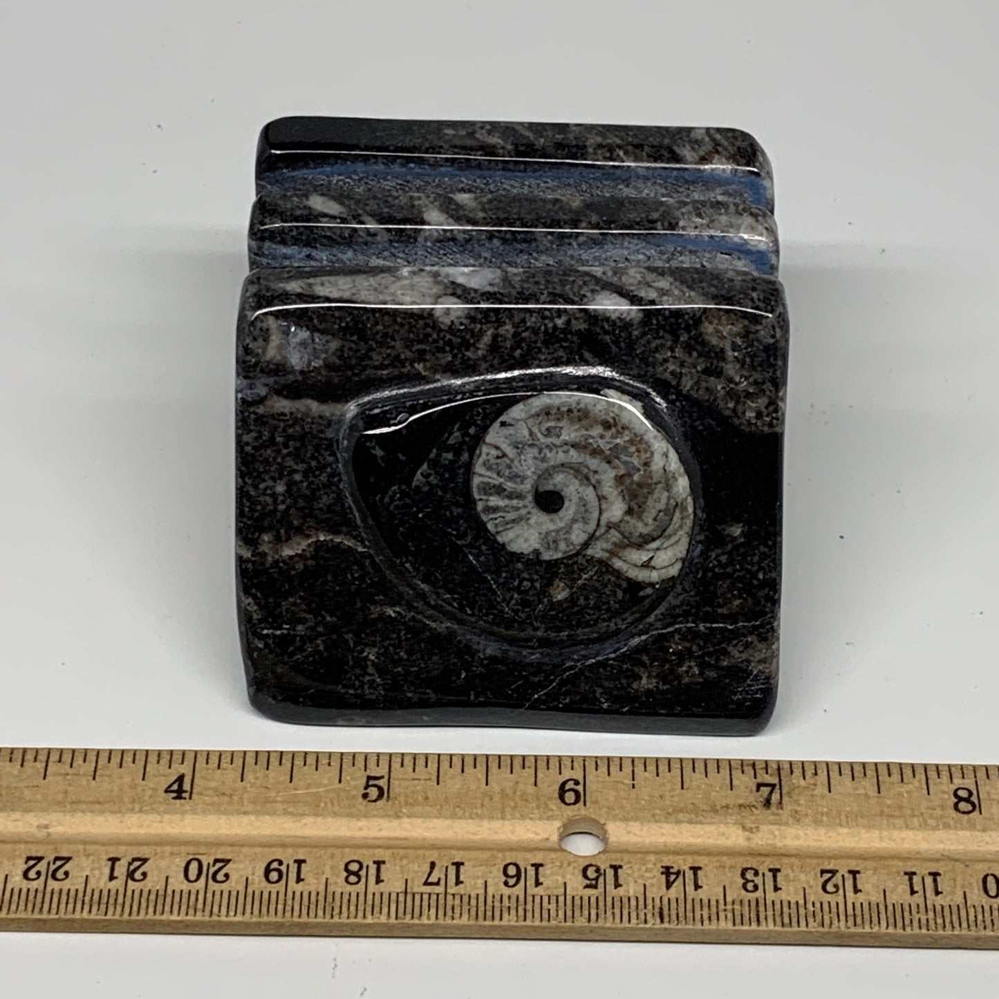 476g, 2.7" x 2.8" x 1.9" Black Fossils Orthoceras Ammonite Business Card Holder,
