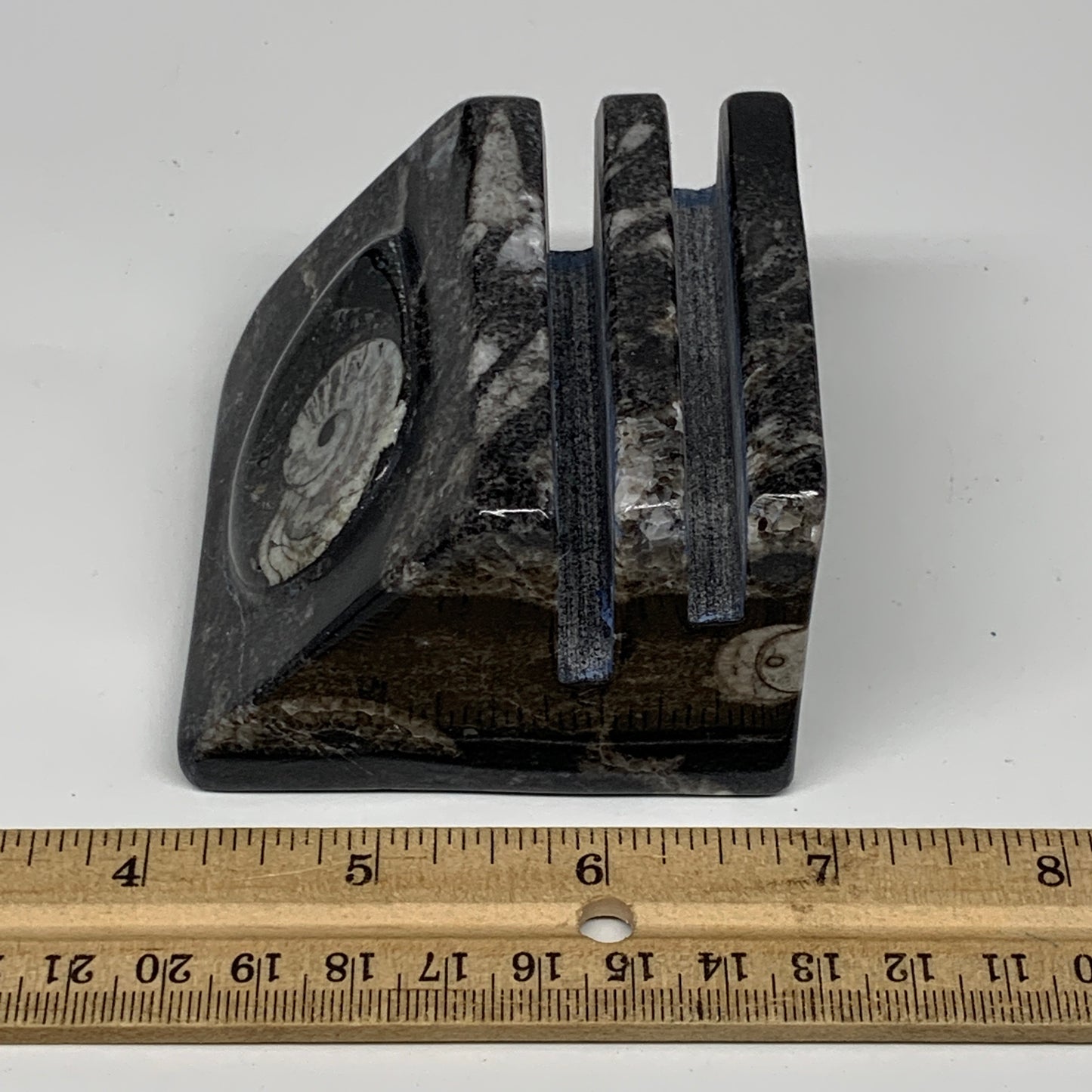 476g, 2.7" x 2.8" x 1.9" Black Fossils Orthoceras Ammonite Business Card Holder,