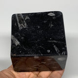 496g, 2.9" x 2.9" x 1.9" Black Fossils Orthoceras Ammonite Business Card Holder,