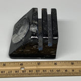 496g, 2.9" x 2.9" x 1.9" Black Fossils Orthoceras Ammonite Business Card Holder,