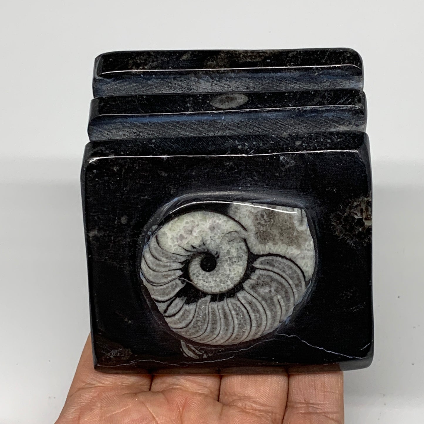 500g, 2.8" x 2.9" x 2" Black Fossils Orthoceras Ammonite Business Card Holder,B8