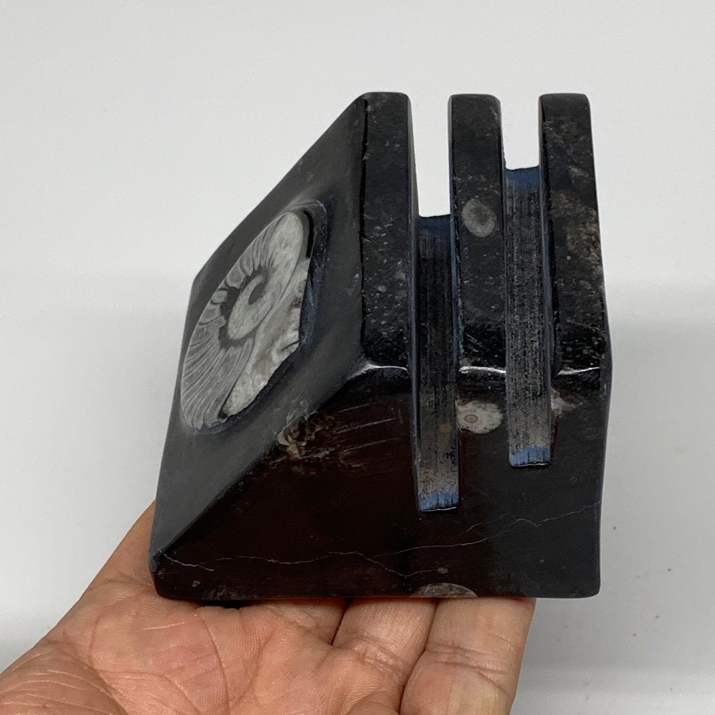 500g, 2.8" x 2.9" x 2" Black Fossils Orthoceras Ammonite Business Card Holder,B8