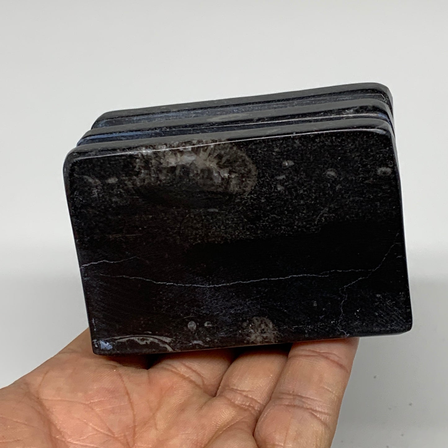 500g, 2.8" x 2.9" x 2" Black Fossils Orthoceras Ammonite Business Card Holder,B8