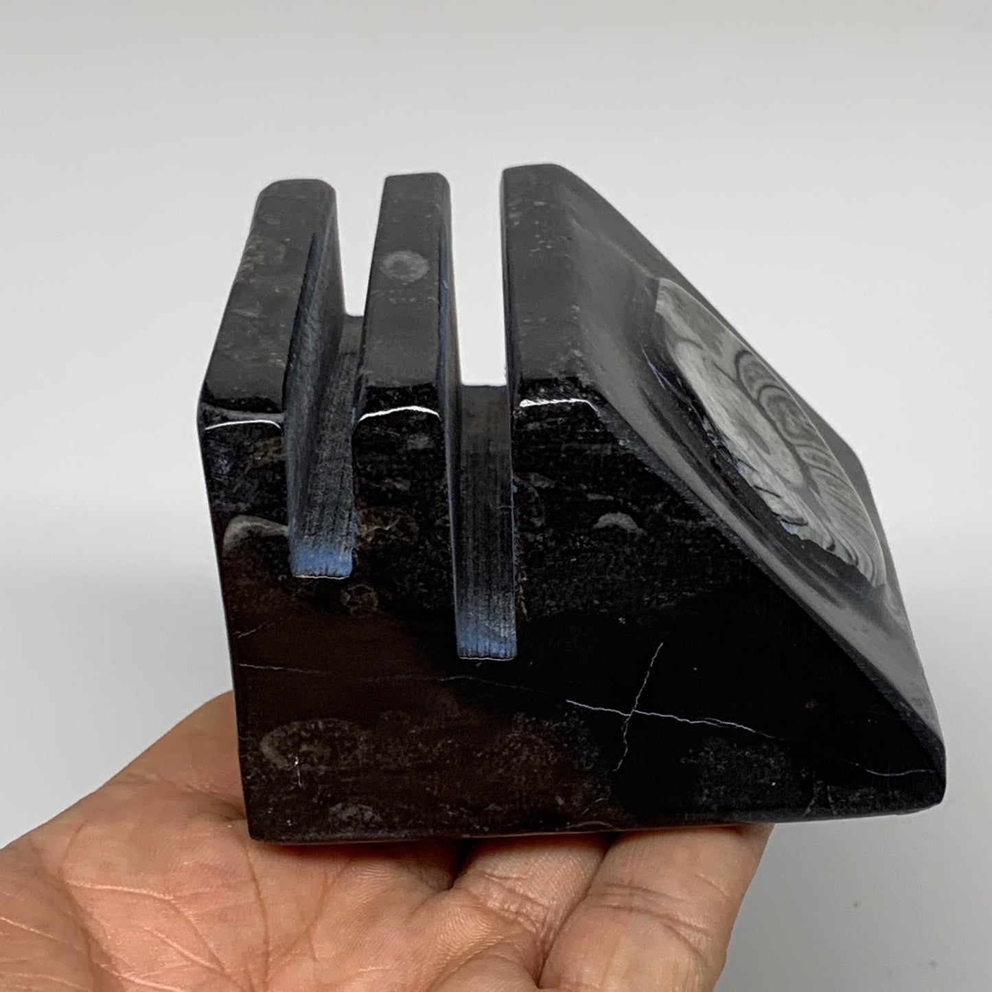 500g, 2.8" x 2.9" x 2" Black Fossils Orthoceras Ammonite Business Card Holder,B8