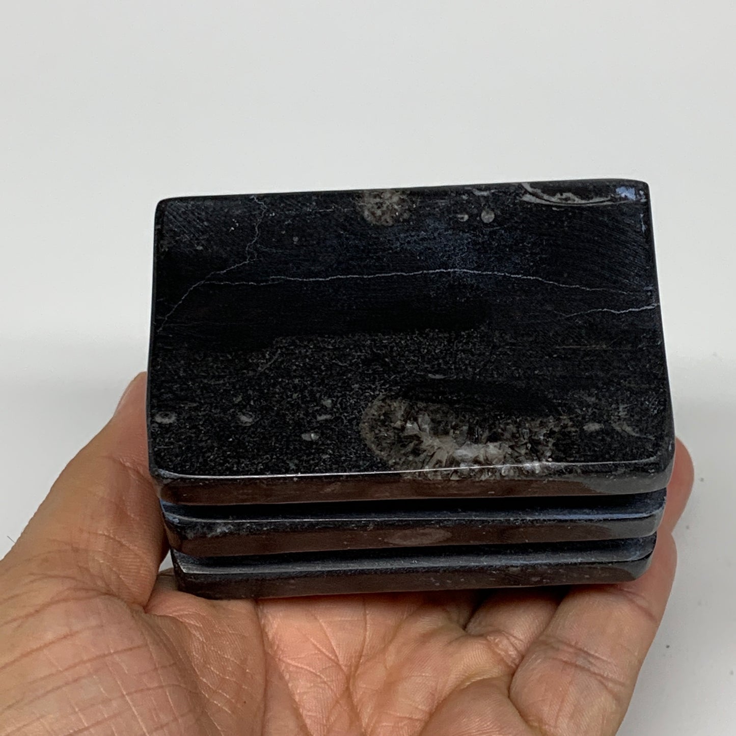 500g, 2.8" x 2.9" x 2" Black Fossils Orthoceras Ammonite Business Card Holder,B8