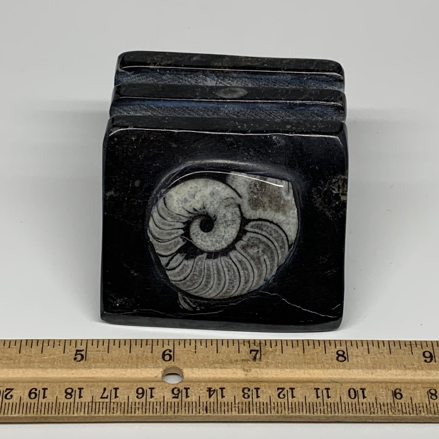 500g, 2.8" x 2.9" x 2" Black Fossils Orthoceras Ammonite Business Card Holder,B8