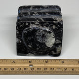 494g, 2.8" x 2.9" x 2" Black Fossils Orthoceras Ammonite Business Card Holder,B8