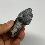 80.5g, 2.6"x2.2"x0.9", Large Goniatite Ammonite Polished Mineral @Morocco, B2366