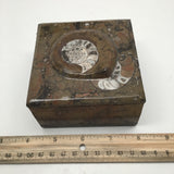 638g Square Shape Orthoceras Fossil Ammonite Brown Jewelry Box @Morocco, FJ48 - watangem.com