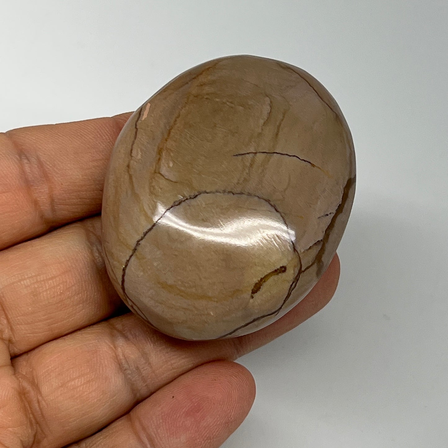 72.4g, 2.1"x1.7"x0.9" Picture Jasper Palm-Stone Gemstone Home Decor, B20280