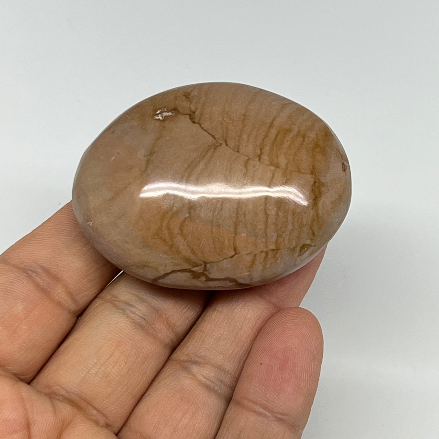 72.4g, 2.1"x1.7"x0.9" Picture Jasper Palm-Stone Gemstone Home Decor, B20280