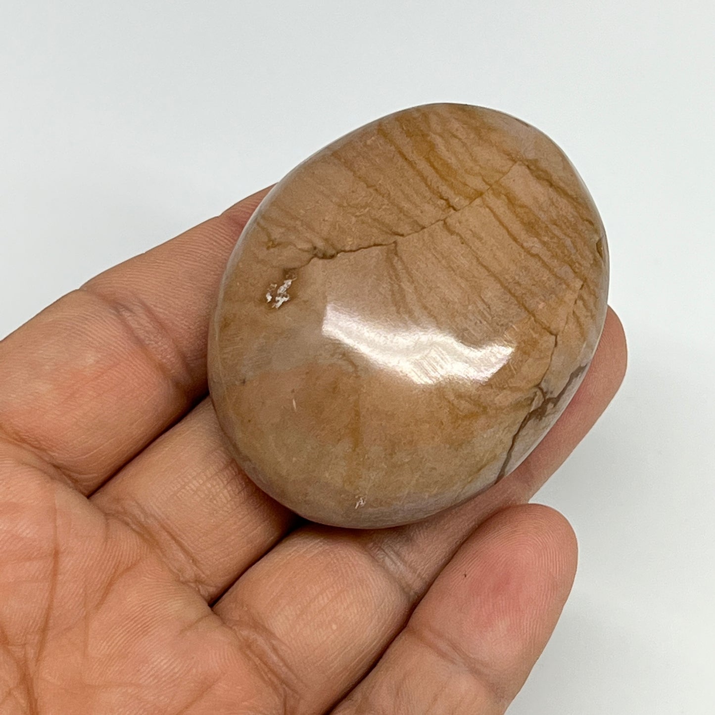 72.4g, 2.1"x1.7"x0.9" Picture Jasper Palm-Stone Gemstone Home Decor, B20280