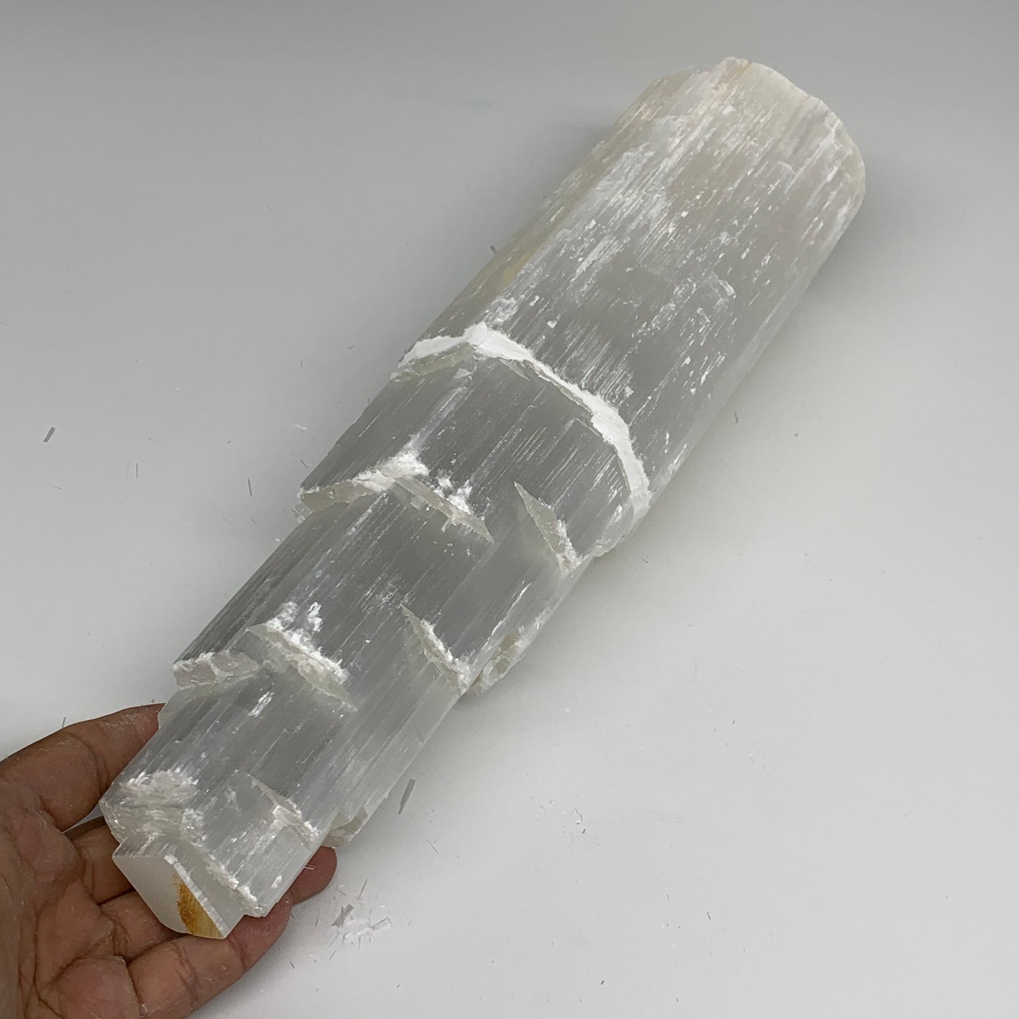 5.83 lb,12"x3.3" White Selenite (Satin Spar) Rough Lamp W/Chord @Morocco,B12383