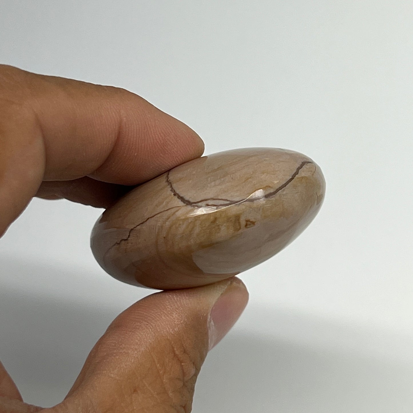 72.4g, 2.1"x1.7"x0.9" Picture Jasper Palm-Stone Gemstone Home Decor, B20280