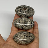 165g, 2.1"-2.2" 3pcs, Natural Jungle Jasper Palm-Stone @Pakistan,B25237