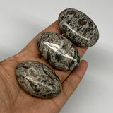 165g, 2.1"-2.2" 3pcs, Natural Jungle Jasper Palm-Stone @Pakistan,B25237