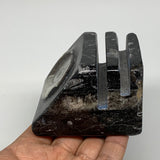 498g, 2.9" x 2.8" x 1.9" Black Fossils Orthoceras Ammonite Business Card Holder,