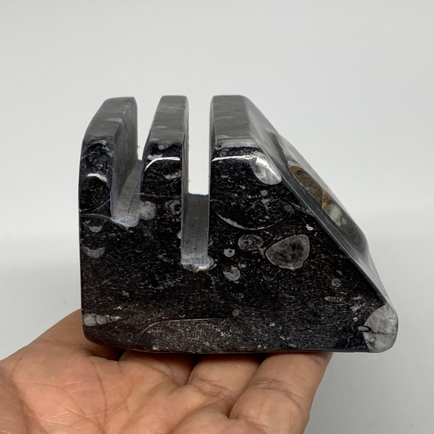 498g, 2.9" x 2.8" x 1.9" Black Fossils Orthoceras Ammonite Business Card Holder,