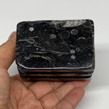 498g, 2.9" x 2.8" x 1.9" Black Fossils Orthoceras Ammonite Business Card Holder,