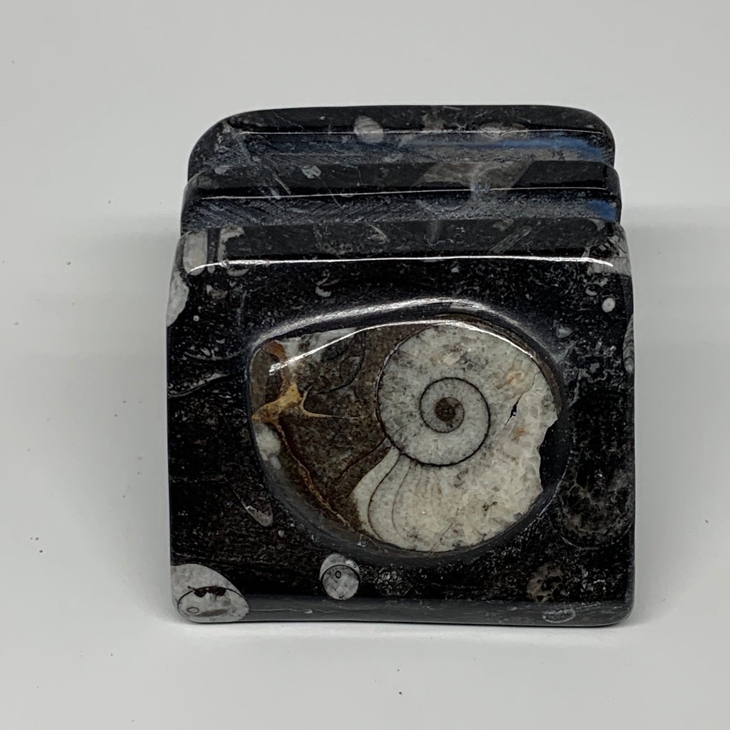 498g, 2.9" x 2.8" x 1.9" Black Fossils Orthoceras Ammonite Business Card Holder,