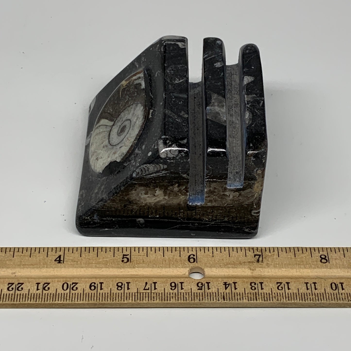 498g, 2.9" x 2.8" x 1.9" Black Fossils Orthoceras Ammonite Business Card Holder,